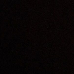 Meet your Posher, Cecilia